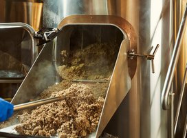 Why feed Brewers Grains?